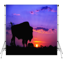 American Bison Silhouette Against Sunrise Backdrops 59528624