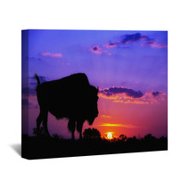 American Bison Silhouette Against Sunrise Wall Art 59528624