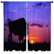 American Bison Silhouette Against Sunrise Window Curtains 59528624