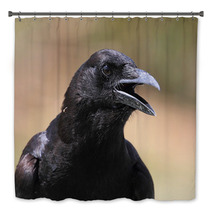 American Crow (Corvus Brachyrhynchos) Bath Decor 47255969