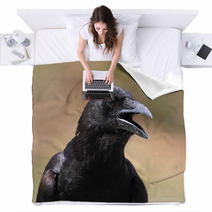 American Crow (Corvus Brachyrhynchos) Blankets 47255969