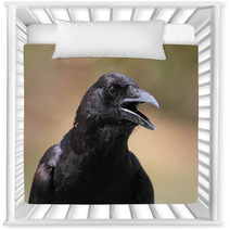American Crow (Corvus Brachyrhynchos) Nursery Decor 47255969