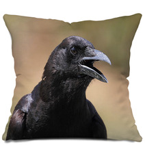American Crow (Corvus Brachyrhynchos) Pillows 47255969