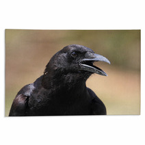 American Crow (Corvus Brachyrhynchos) Rugs 47255969