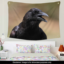 American Crow (Corvus Brachyrhynchos) Wall Art 47255969
