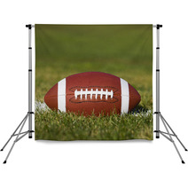 American Football On The Field With Green Grass Backdrops 55964905