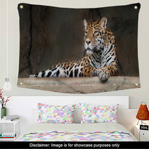 American Jaguar Wall Art 86272699