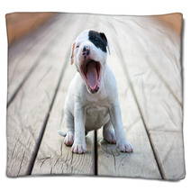 American Staffordshire Terrier Puppy Blankets 46122695