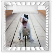 American Staffordshire Terrier Puppy Nursery Decor 46122695