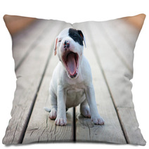 American Staffordshire Terrier Puppy Pillows 46122695