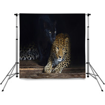 Amur Leopard Backdrops 56342208