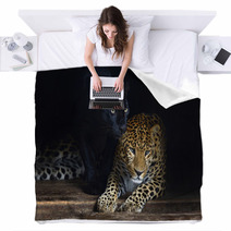 Amur Leopard Blankets 56342208