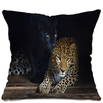 Amur Leopard Pillows 56342208