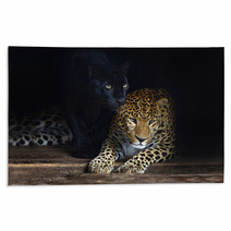 Amur Leopard Rugs 56342208