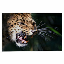 Amur Leopard Rugs 79050743