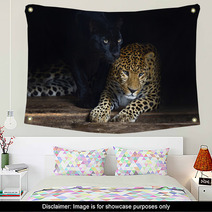 Amur Leopard Wall Art 56342208