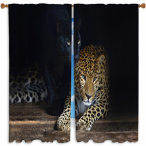 Amur Leopard Window Curtains 56342208