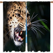 Amur Leopard Window Curtains 79050743