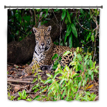 An Attendant Jaguar Watching Our Every Move Bath Decor 99179063