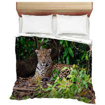 An Attendant Jaguar Watching Our Every Move Bedding 99179063