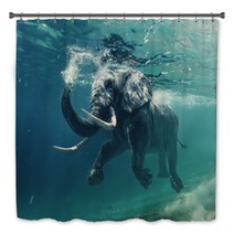 An Elephant Underwater Bath Decor 167199361