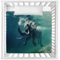 An Elephant Underwater Nursery Decor 167199361