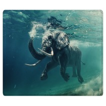 An Elephant Underwater Rugs 167199361