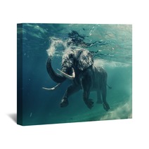 An Elephant Underwater Wall Art 167199361