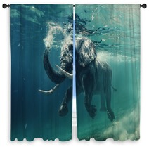 An Elephant Underwater Window Curtains 167199361