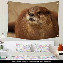 An Endangered African Clawless Otter Looking Into The Distance. Wall Art 96554897