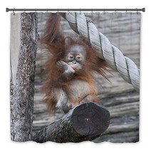 An Orangutan Baby A La Thinker Of Rodin Bath Decor 99175142
