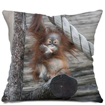 An Orangutan Baby A La Thinker Of Rodin Pillows 99175142