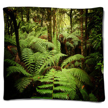 Ancient Rainforest Blankets 9644075