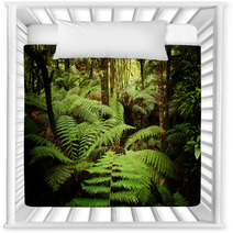 Ancient Rainforest Nursery Decor 9644075