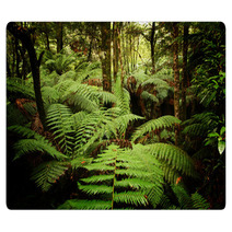 Ancient Rainforest Rugs 9644075