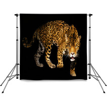 Angry Wild Panther On Black Background Backdrops 454094