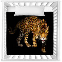 Angry Wild Panther On Black Background Nursery Decor 454094