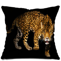 Angry Wild Panther On Black Background Pillows 454094