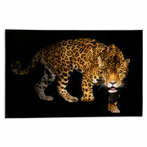 Angry Wild Panther On Black Background Rugs 454094