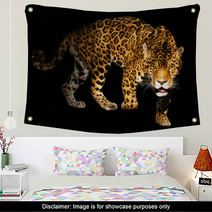 Angry Wild Panther On Black Background Wall Art 454094