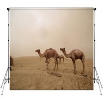 Animal pictures Backdrops 78967142