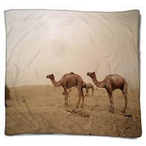 Animal pictures Blankets 78967142