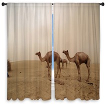 Animal pictures Window Curtains 78967142