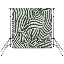 Animal Zebra Seamless Background Backdrops 68001337
