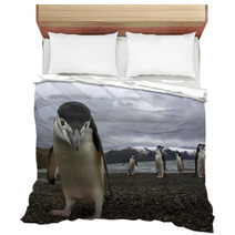 Antarctiic Penguin Bedding 64546798