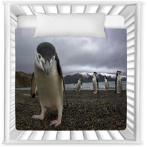 Antarctiic Penguin Nursery Decor 64546798