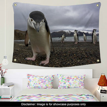 Antarctiic Penguin Wall Art 64546798