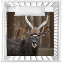 Antelope Nursery Decor 100784453
