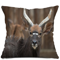 Antelope Pillows 100784453