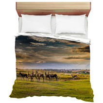 Antelope. South Africa
 Bedding 86380311